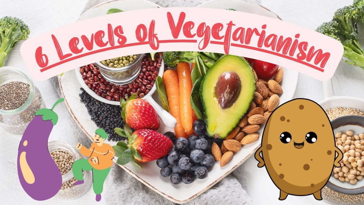 6 levels of vegetarianism https://organicgardeningeek.com