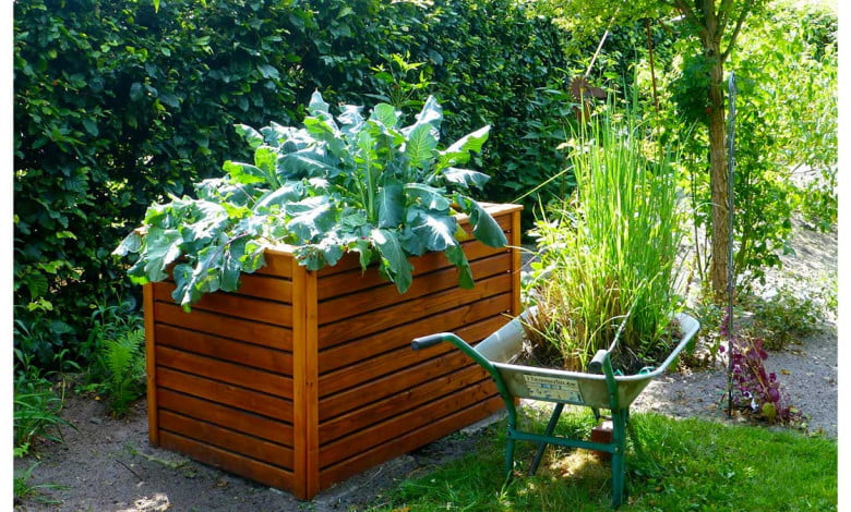 Raised bed gardening in june. you can still grow those fast growing plants in your garden in june https://organicgardeningeek.com