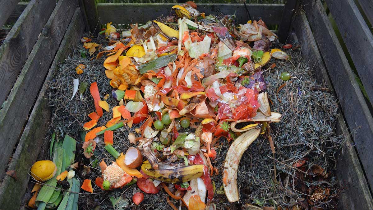 composting materials. How to maintain the compost and composting process in your backyard https://organicgardeningeek.com