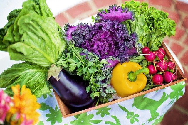 Vegetables to plant in october https://organicgardeningeek.com