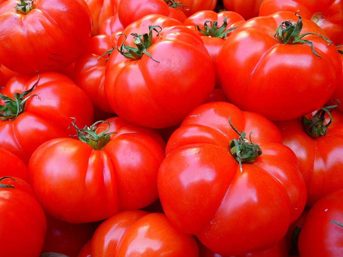 Red russian tomato description, origin https://organicgerdeningeek.com