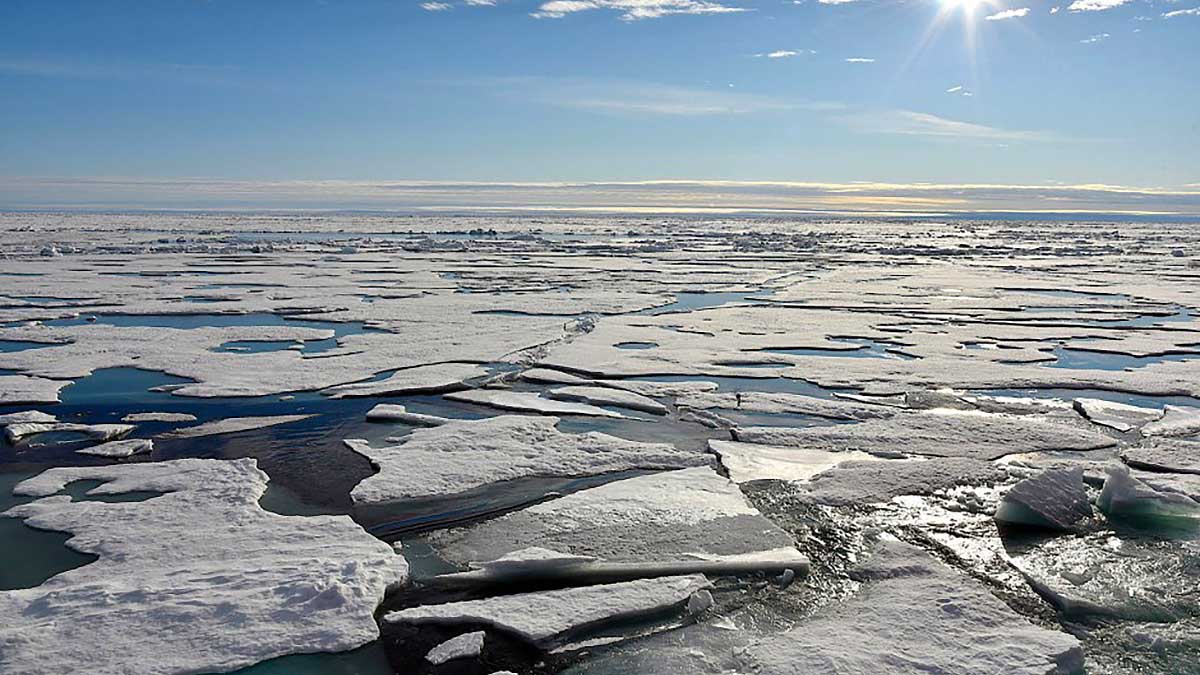 ice melting in the north pole because of CO2 emissions https://organicgardeningeek.com