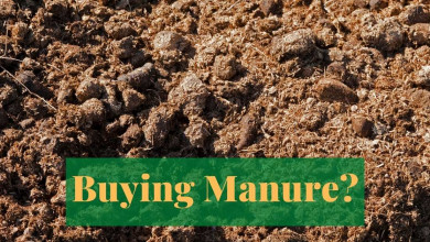 Buying the best manure for your vegetable garden? https://organicgardeningeek.com