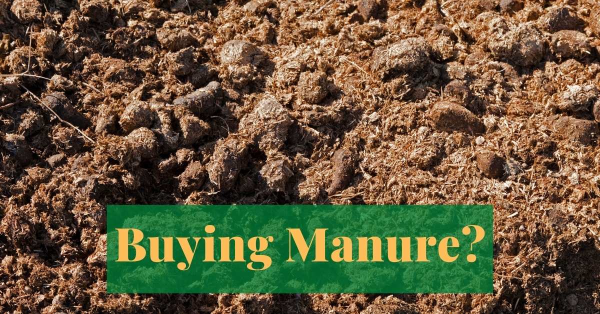Buying the best manure for your vegetable garden? https://organicgardeningeek.com
