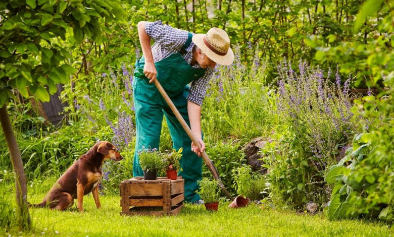 pet friendly gardening tips https://organicgardeningeek.com