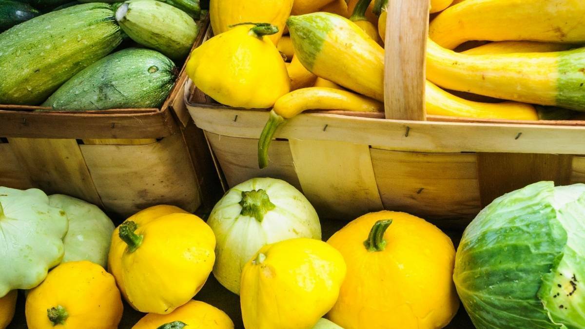 Read more about the article 10 Tips On How To Grow The Best Summer Squash