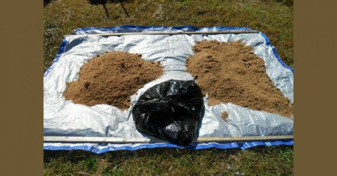 Bokashi Compost How to Make Your Own From Scratch