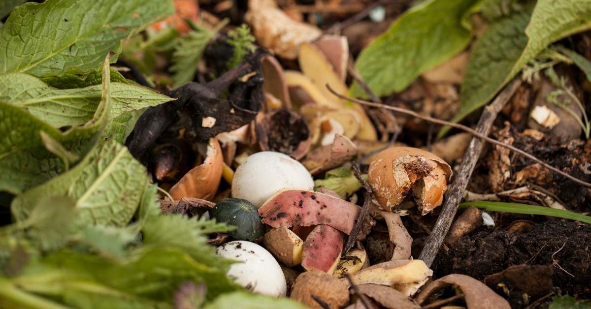 Bokashi composting recipe https://organicgardeningeek.com