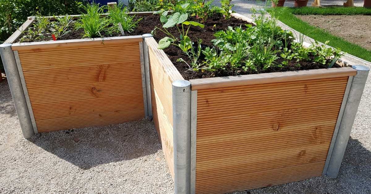 build a waist high raised bed garden https://organicgardeningeek.com