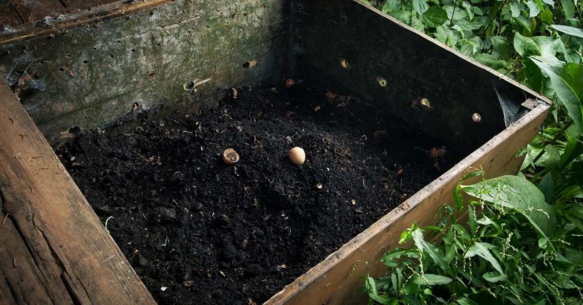 Why You Need To Make Cotton Burr Compost