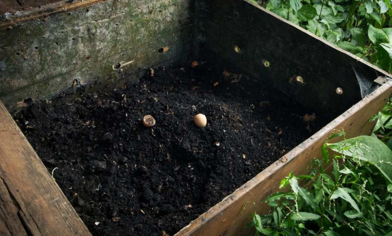 Hw to make cotton burr composting at home https://organicgardeningeek.com