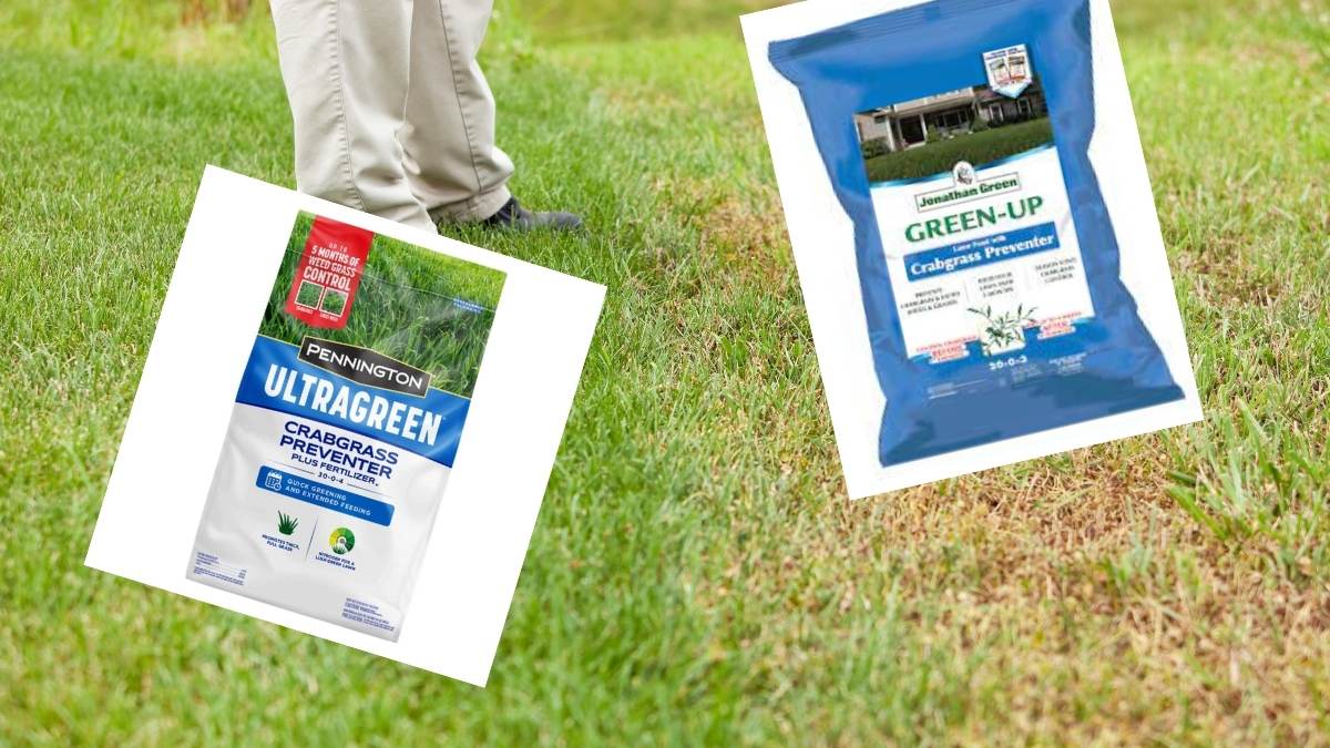 You are currently viewing How to Apply a Crabgrass Preventer in March