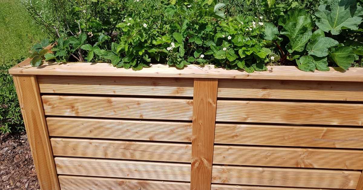 The Ultimate Guide For Building A Raised Waist High Garden Bed https://organicgardeningeek.com