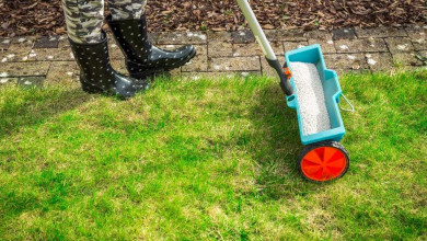 hwo to properly fertilize your lawn https://organicgardeningeek.com