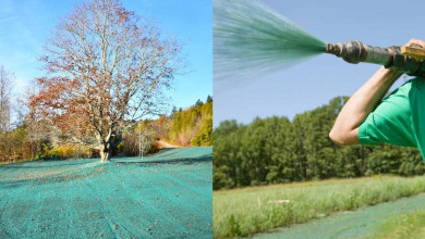 What is hydroseeding and why do you need it? https://organicgardeningeek.com