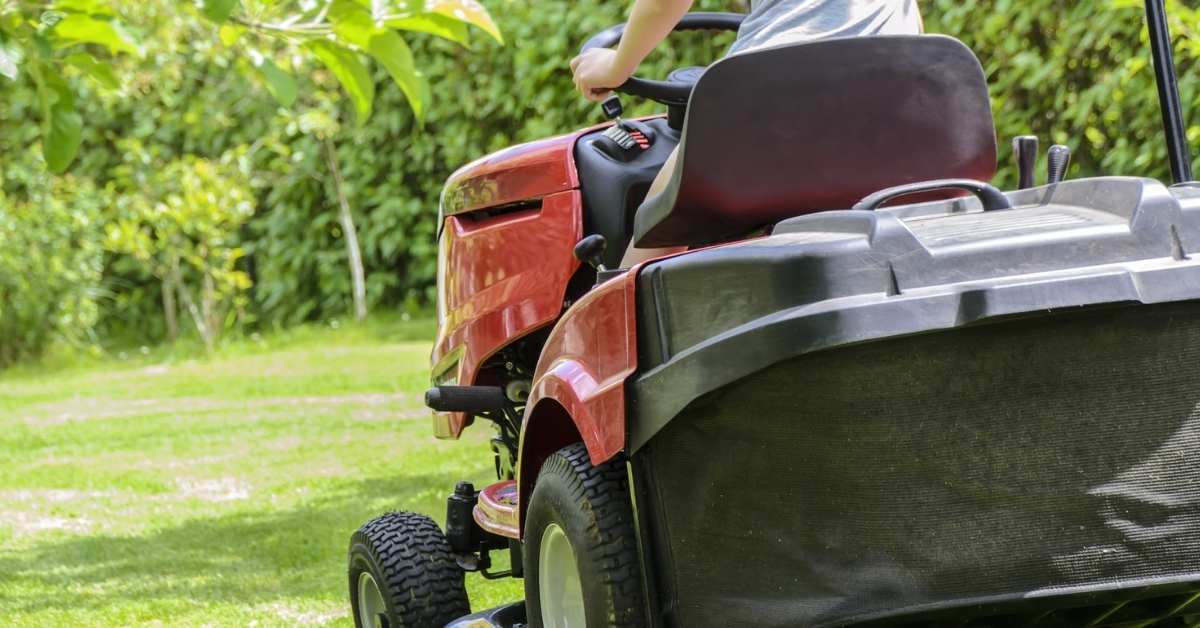 Read more about the article The Basics of Lawn Cutting
