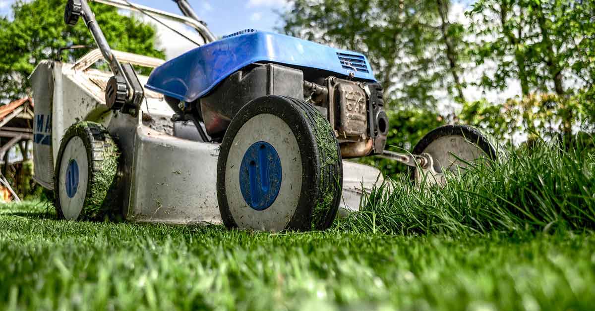 Natural lawn care - The Basics of Lawn Cutting https://organicgardeningeek.com