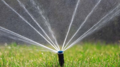 watering lawns properly https://organicgardeningeek.com