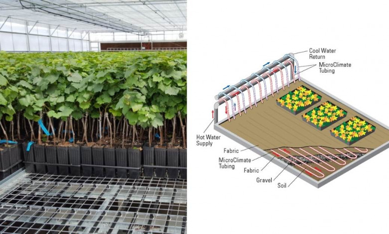 Root zone heating for greenhouse crops https://organicgardneingeek.com