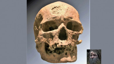 Mans skull 28 thousand years ago https://organicgardeningeek.com