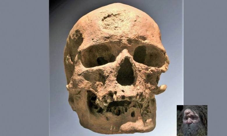 Mans skull 28 thousand years ago https://organicgardeningeek.com