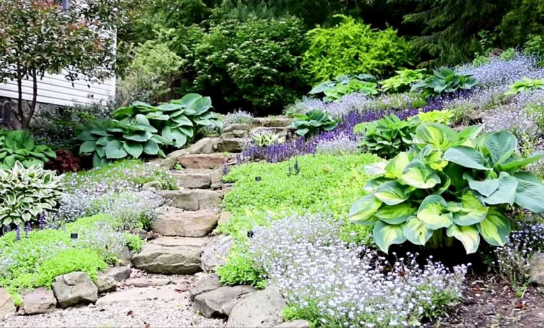 Rockery garden design https://organicgardeningeek.com