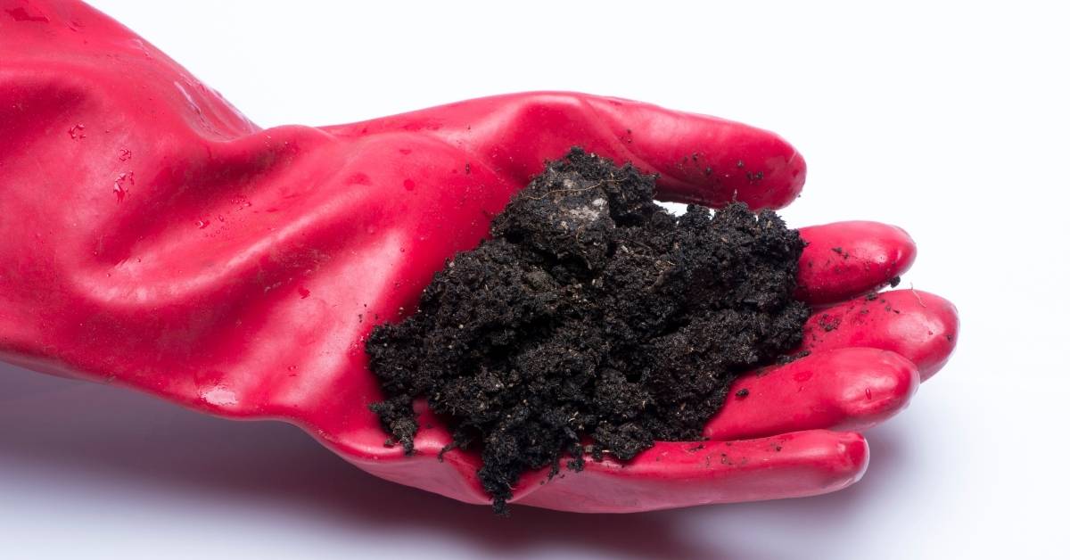 Health risks of contaminated soils in garden and backyards https://organicgardeningeek.com