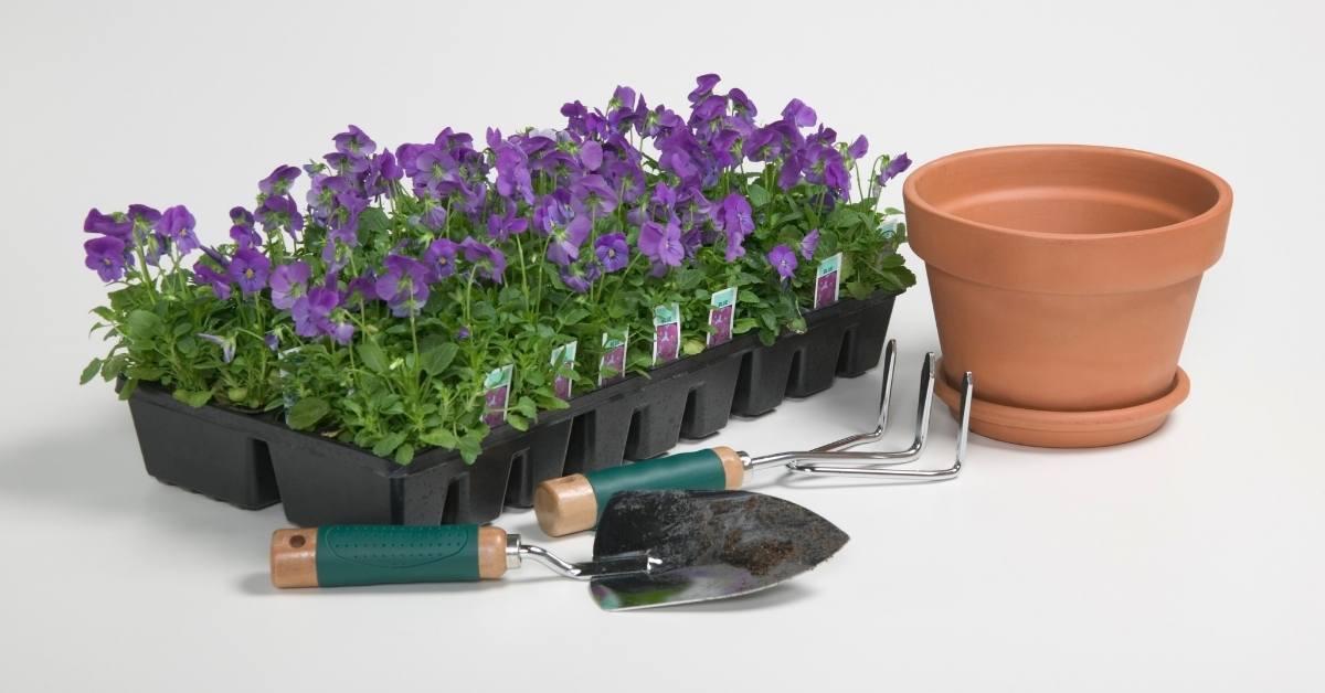 Container Gardening supplies https://organicgardeningeek.com