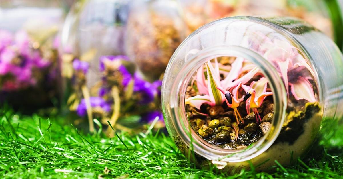 Read more about the article Getting Started with Terrarium Gardening