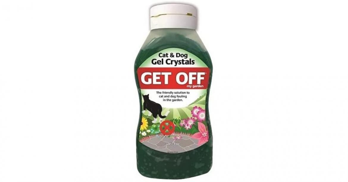 16 Tips on How to Keep Cats Out of Plants and Pots?