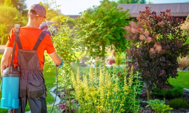 how to become a gardener? https://organicgardeningeek.com