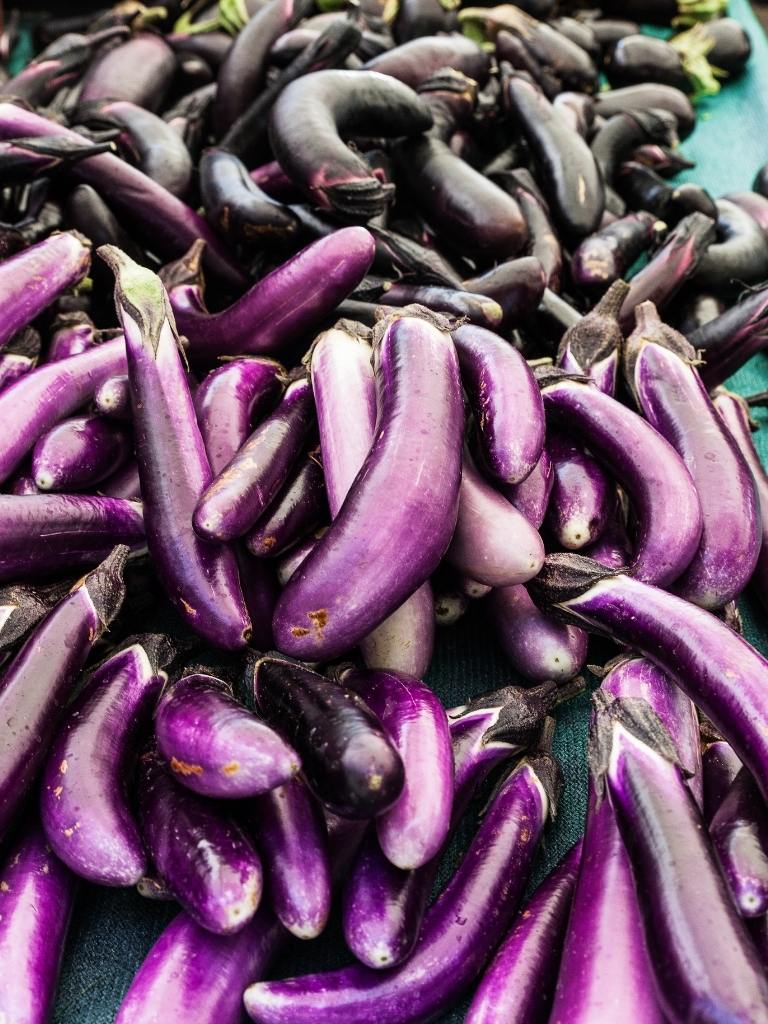 When to harvest Japanese Eggplants? https://organicgardeningeek.com