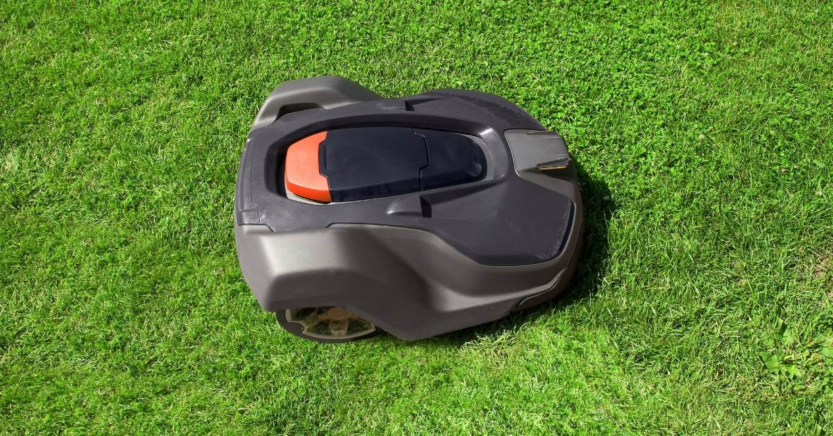 Robotic Lawnmower: This is Why You Need To Switch Off Them At Night https://organicgardeningeek.com