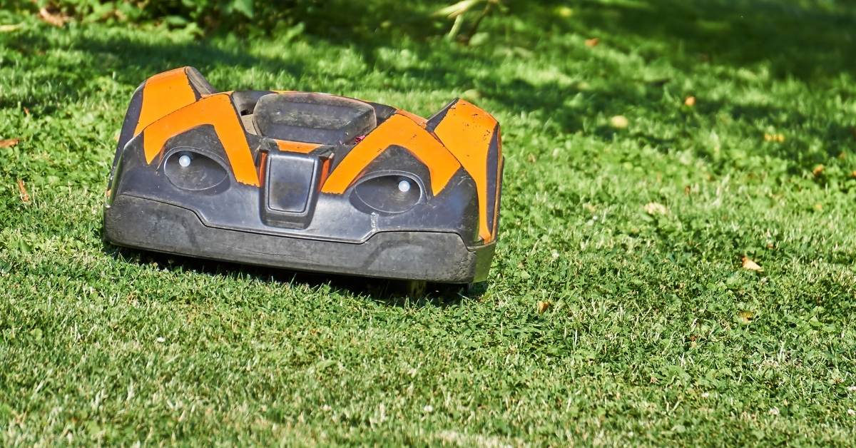 Robotic lawnmowers hurt animals https://organicgardeningeek.com