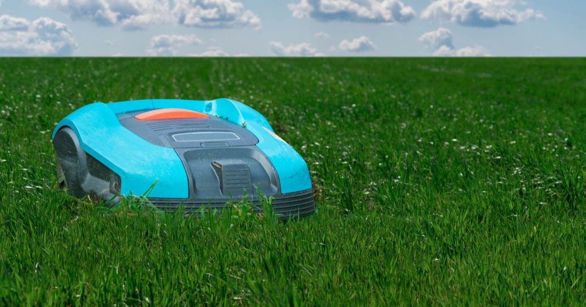 Mowing lawn to the correct height - lawn care spring https://organicgardeningeek.com