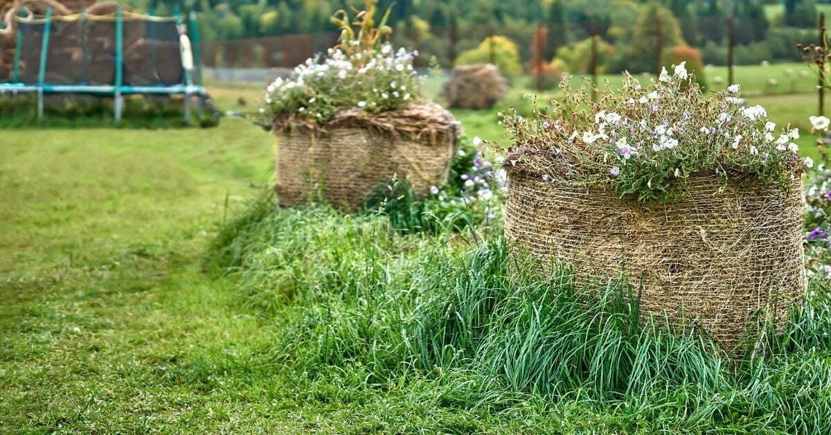 You are currently viewing Straw Bale Gardening For Beginners: A Great Alternative to Soil Gardening & 10 Vegs To Grow