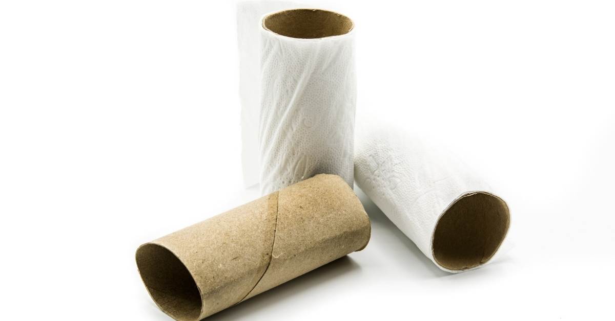 You are currently viewing Toilet Paper Tube Seed Starters: How To Make Biodegredable Seed Starters For Free And Easily?