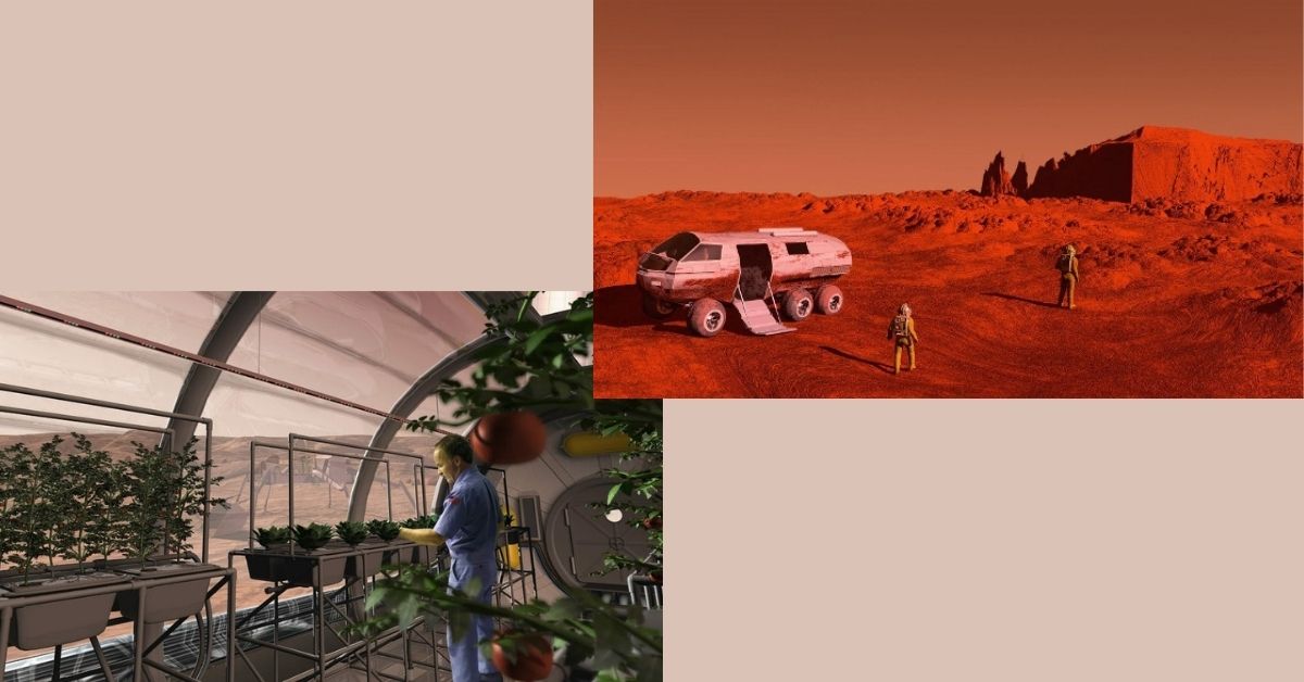 Read more about the article Gardening On Mars: Why Is Gardenin Essential For Survival?