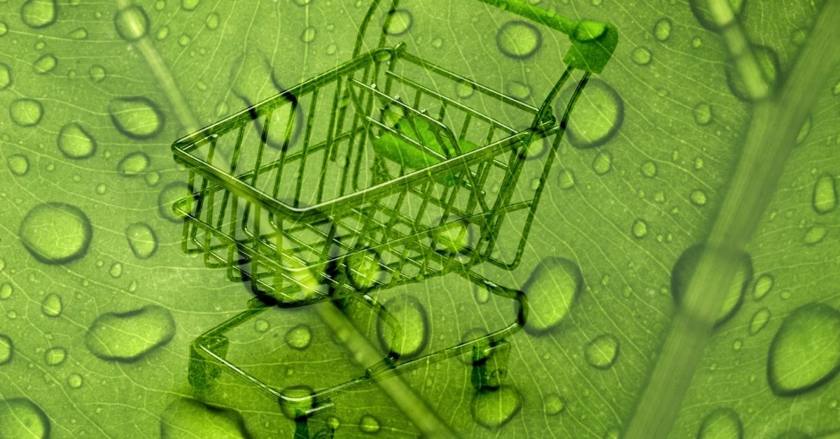 You are currently viewing Best Tips To Be A Green Shopper For More Environmentally Friendly Life Style