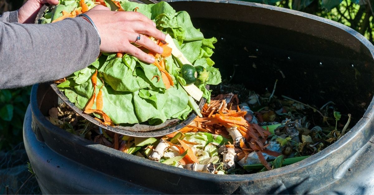 How To Use Compost Bins Properly https://organicgardeningeek.com