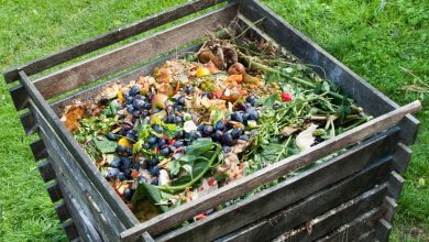 how to use compost bins properly https://organcigardeningeek.com
