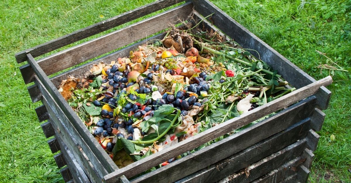 You are currently viewing How To Use Compost Bins Properly