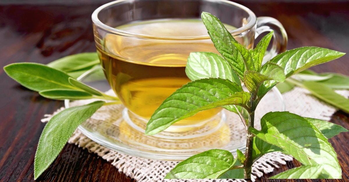 Read more about the article Smoking And Atherosclerosis: This Is How Green Tea Can Protect You