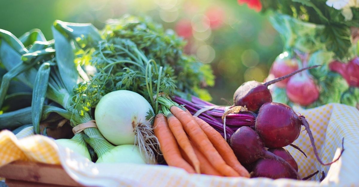 Read more about the article Here Are The Dangers of Organic Vegetables