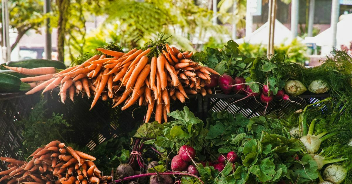 edibles to plant in july - Carrots https://organicgardeningeek.com