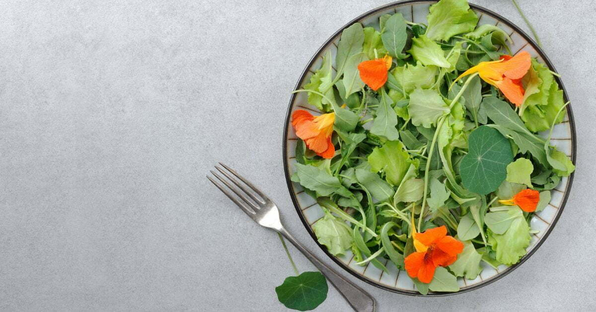Nasturtium salad recipe   https://organicgardeningeek.com