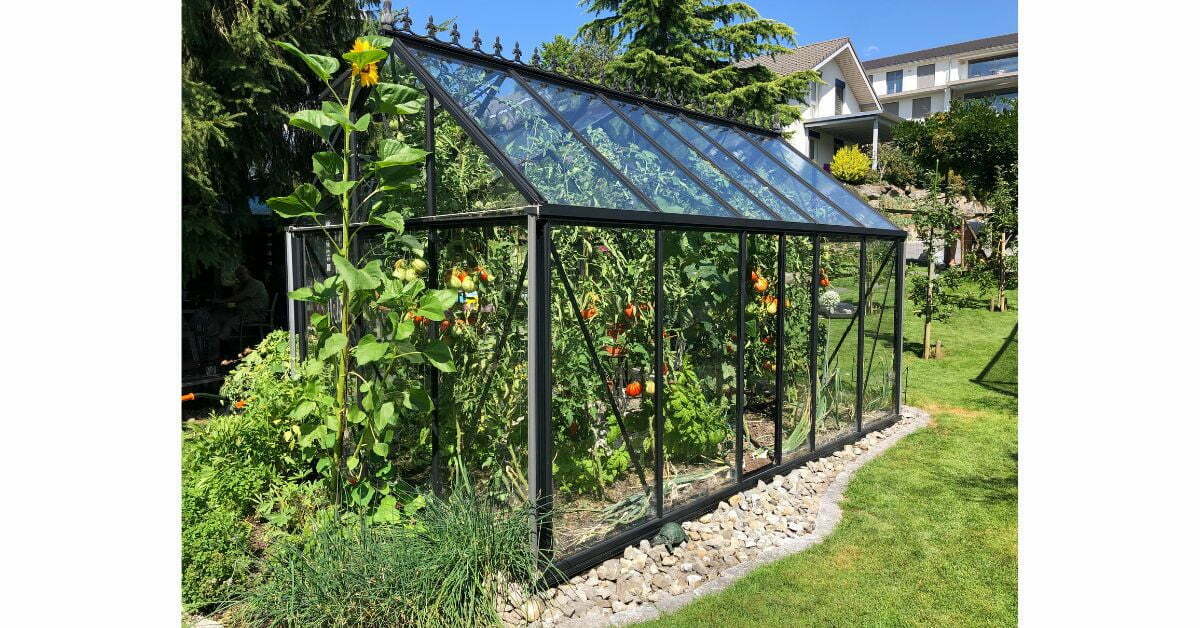 should I build a greenhouse  https://organicgardeningeek.com