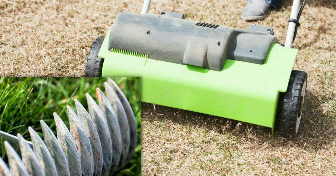 The Importance of Dethatching And Thatching Your Lawn