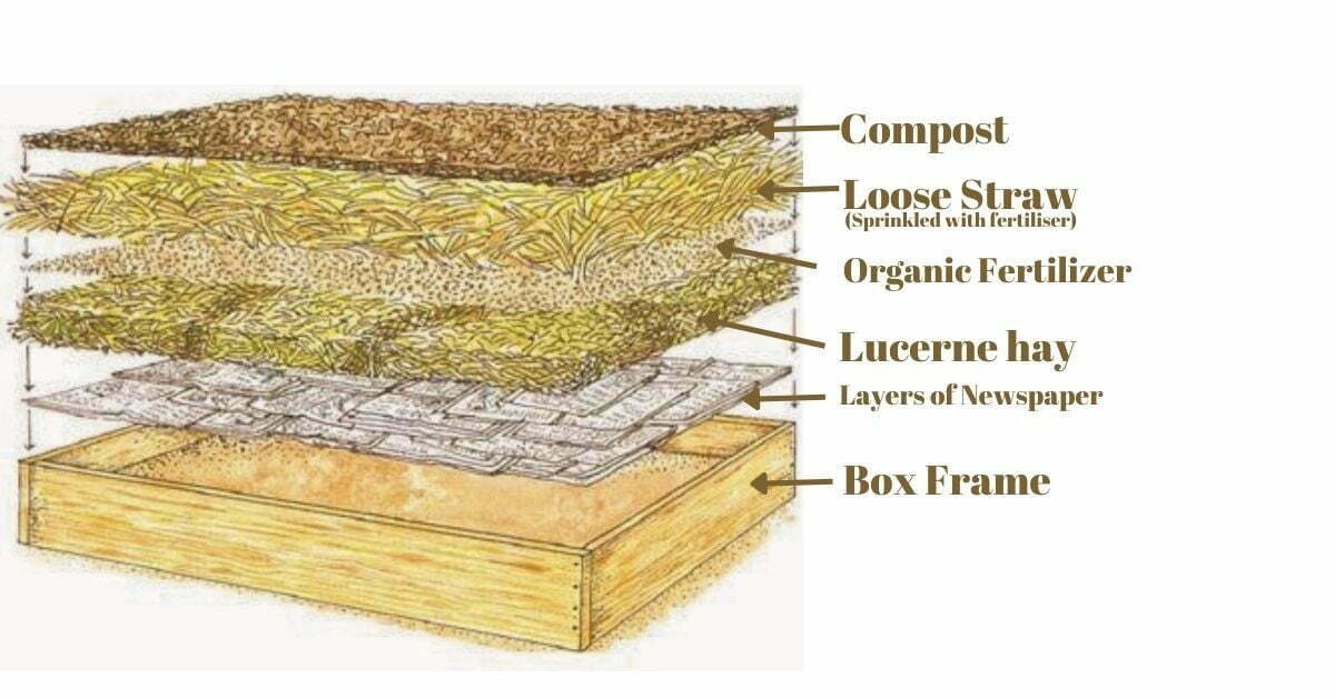 lasagna garden structure infographic https://organicgardeningeek.com