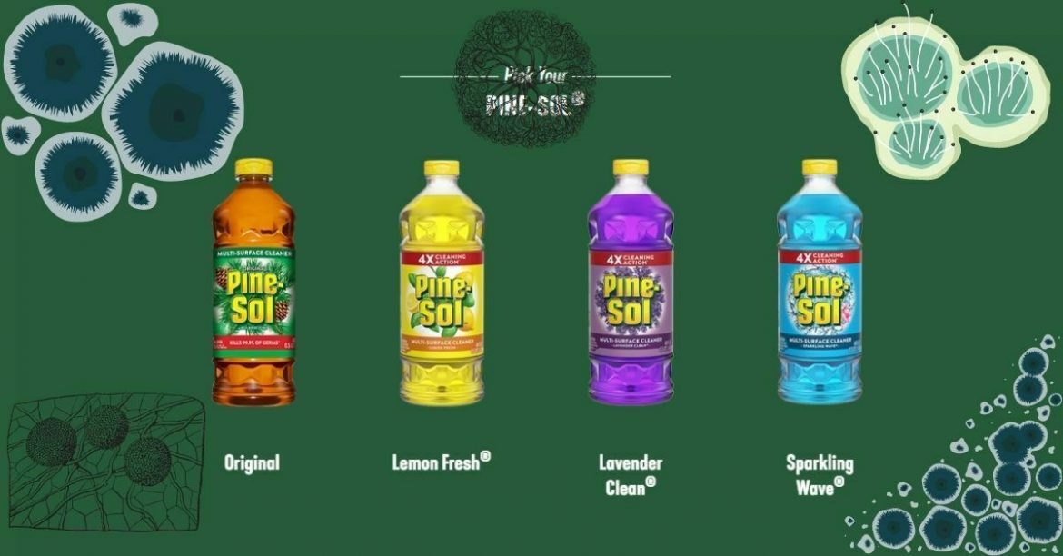 Does Pine Sol Kill Mold And Mildew? The Answer Will Surprise You!